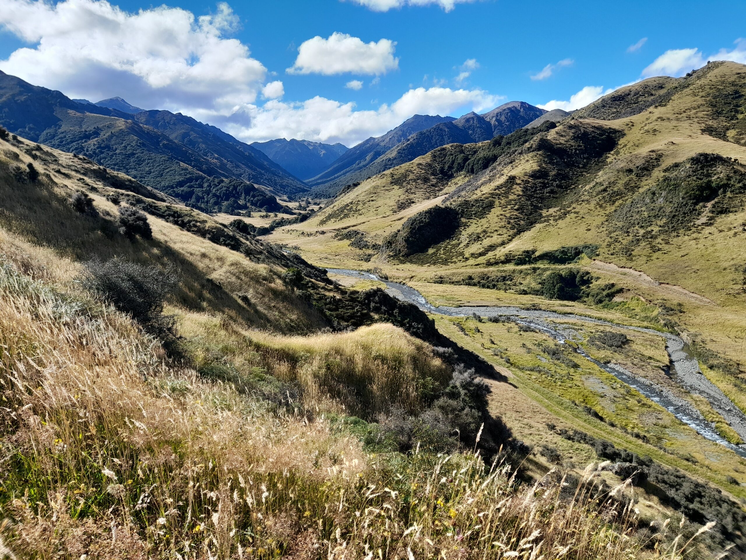 Mt Linton (Station) – Day 8