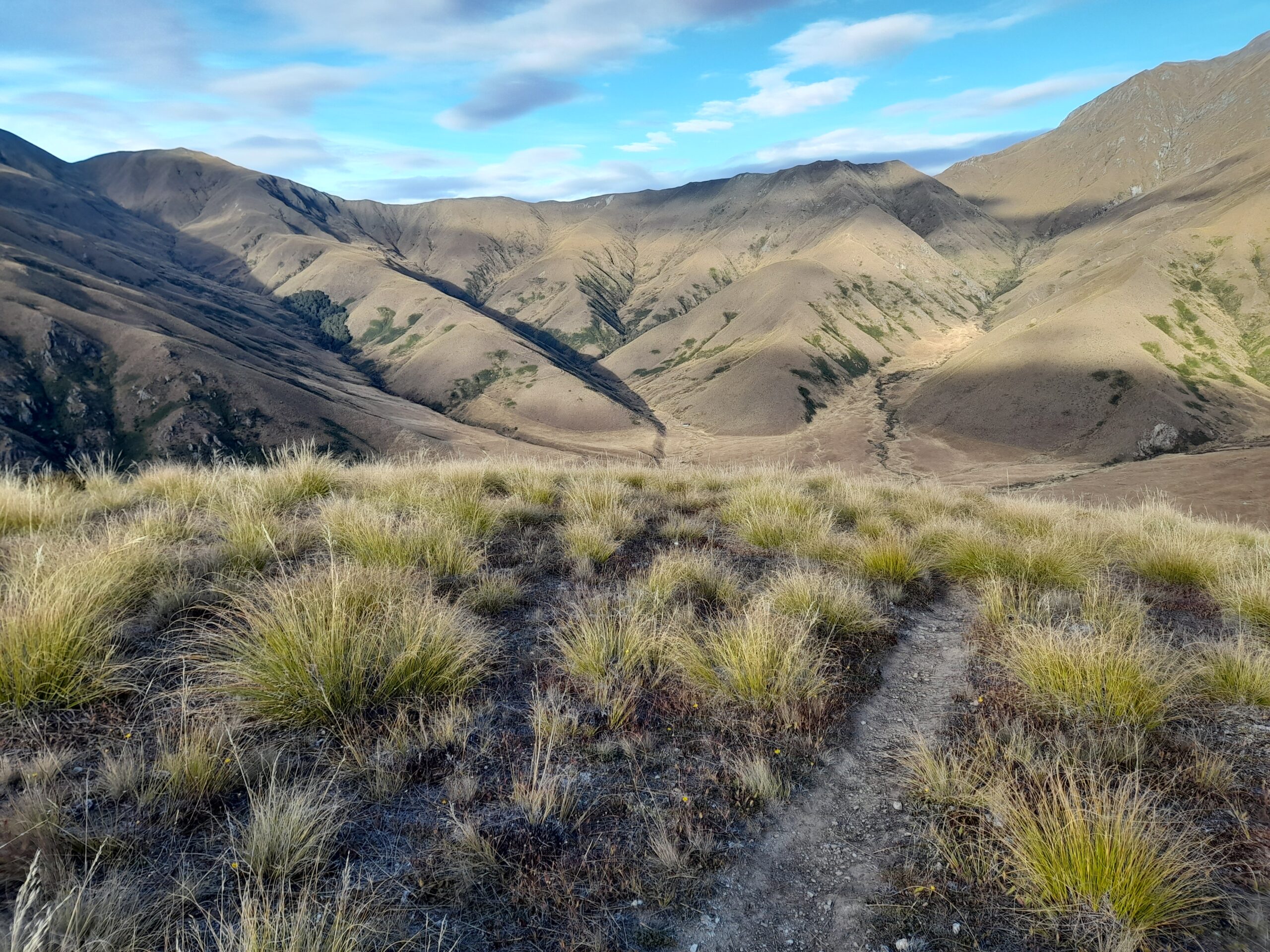 Highland Creek Hut – Day 22.