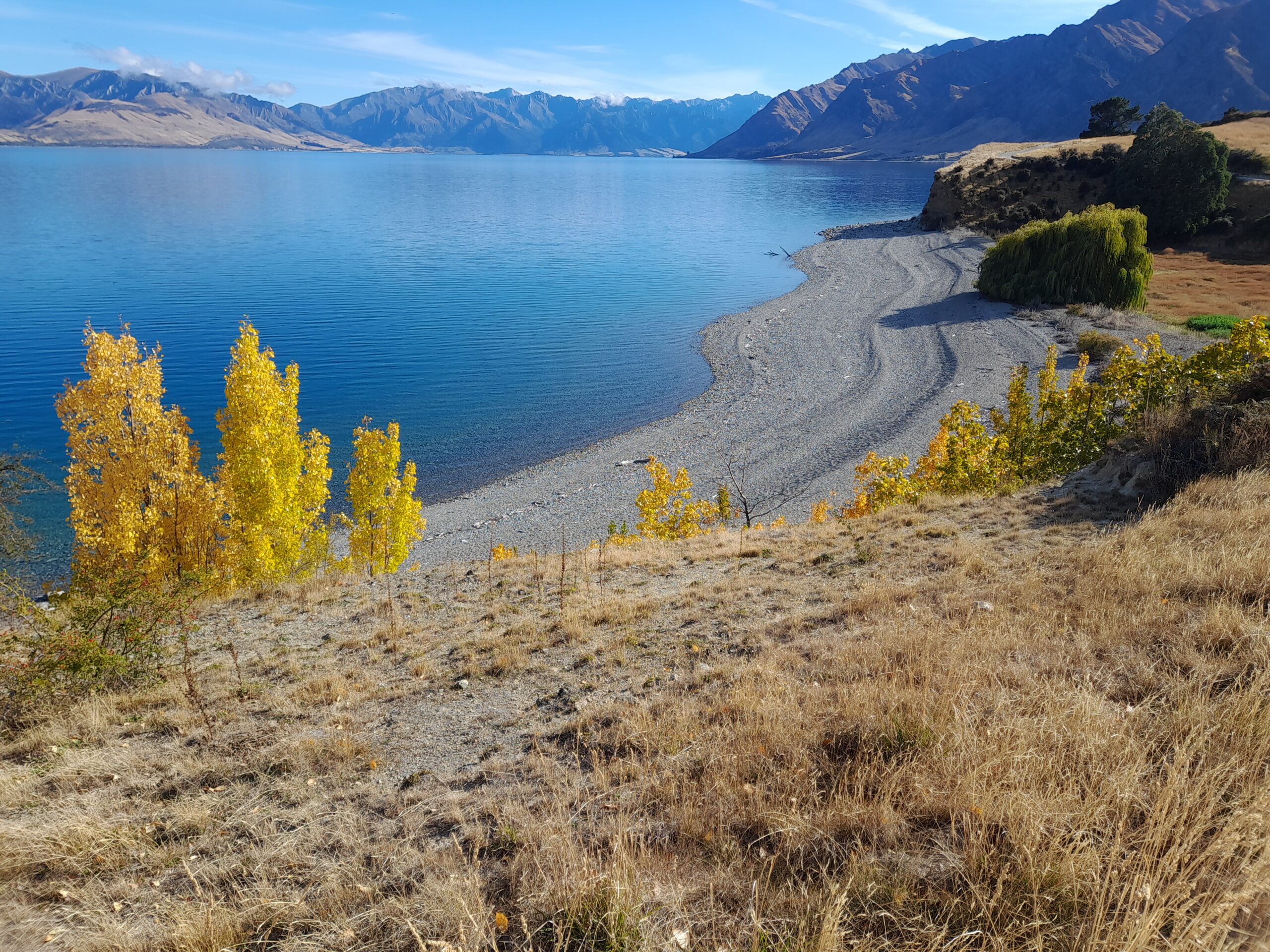 Up the hill to Pakituhi Hut – Day 27.