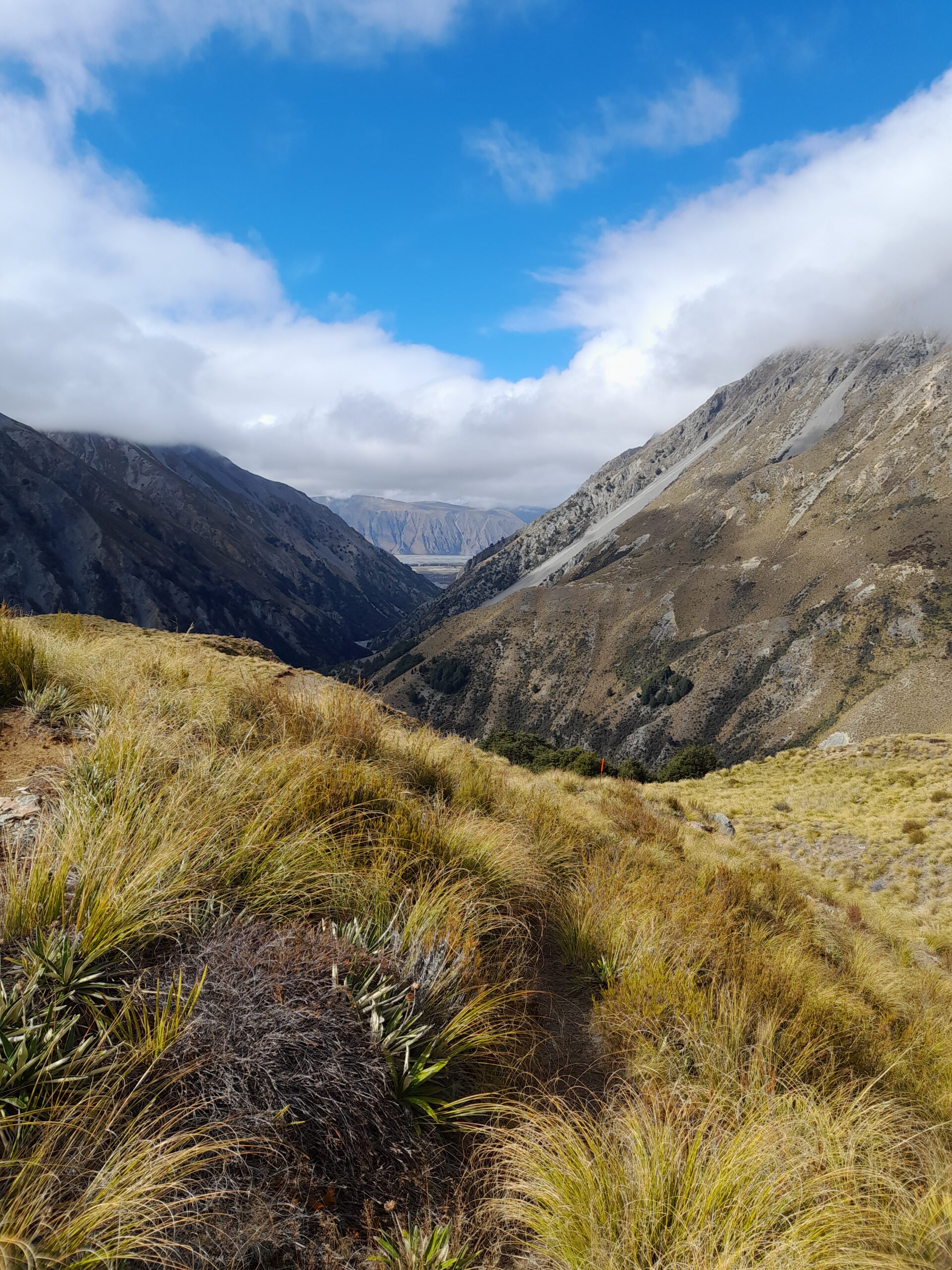 Crooked Spur Hut – Day 38.