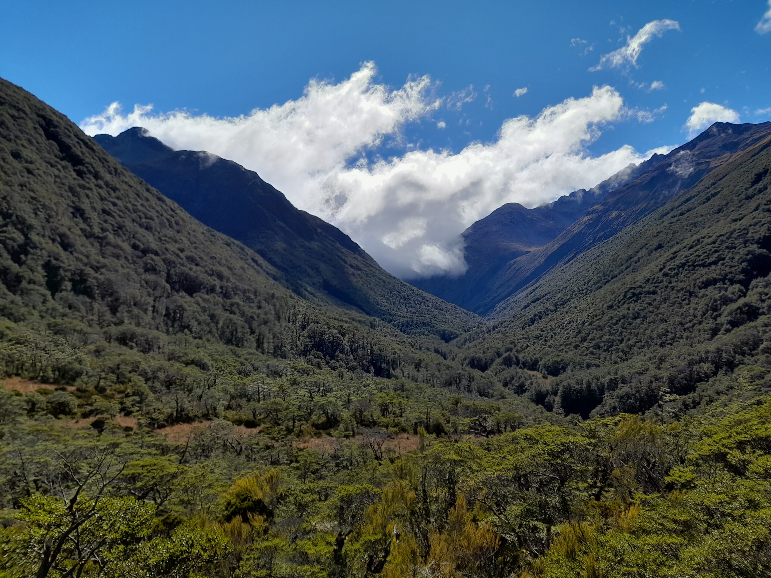 Goat Pass Hut – Day 48.