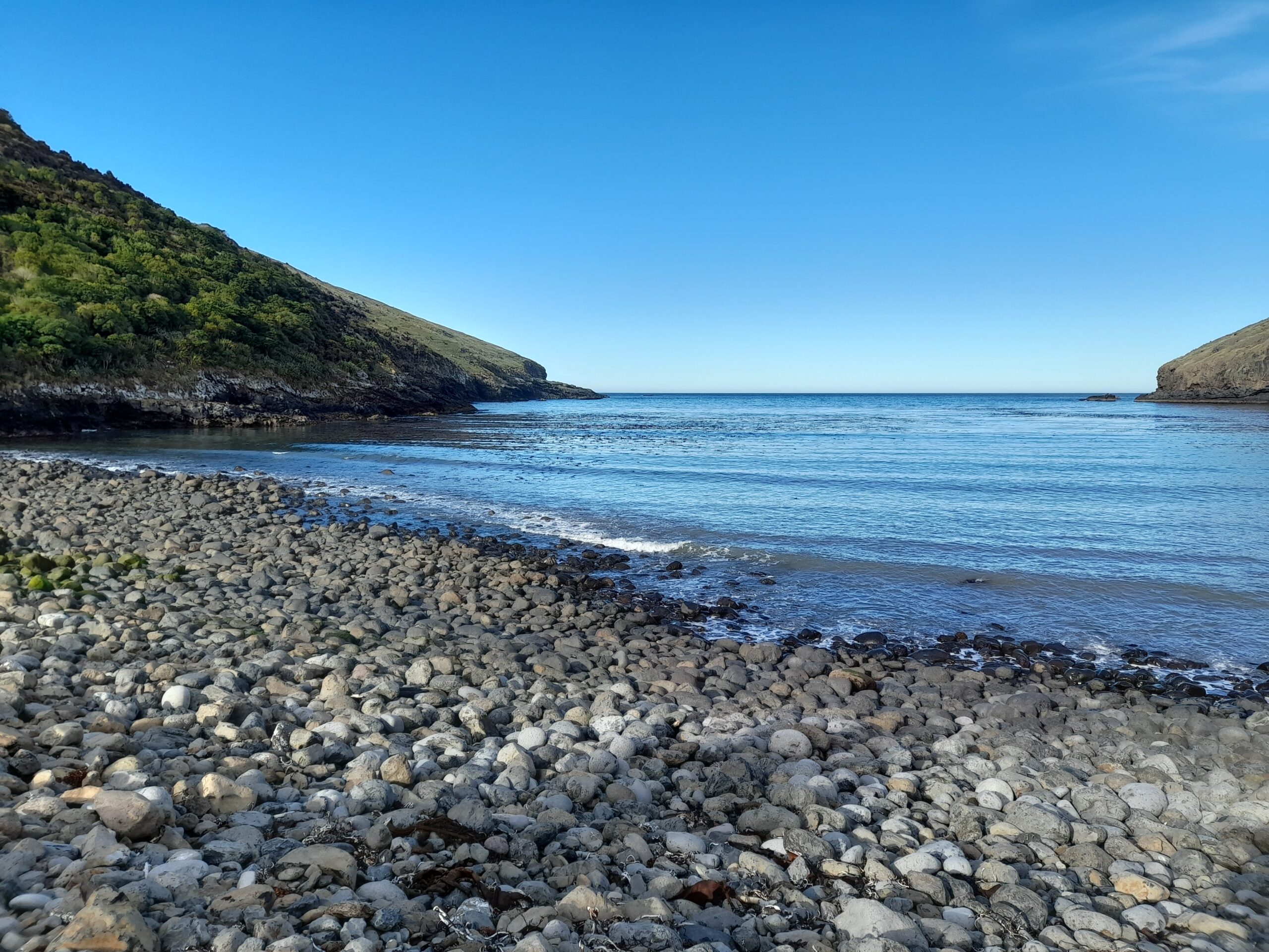 Day walk adventure in Akaroa.