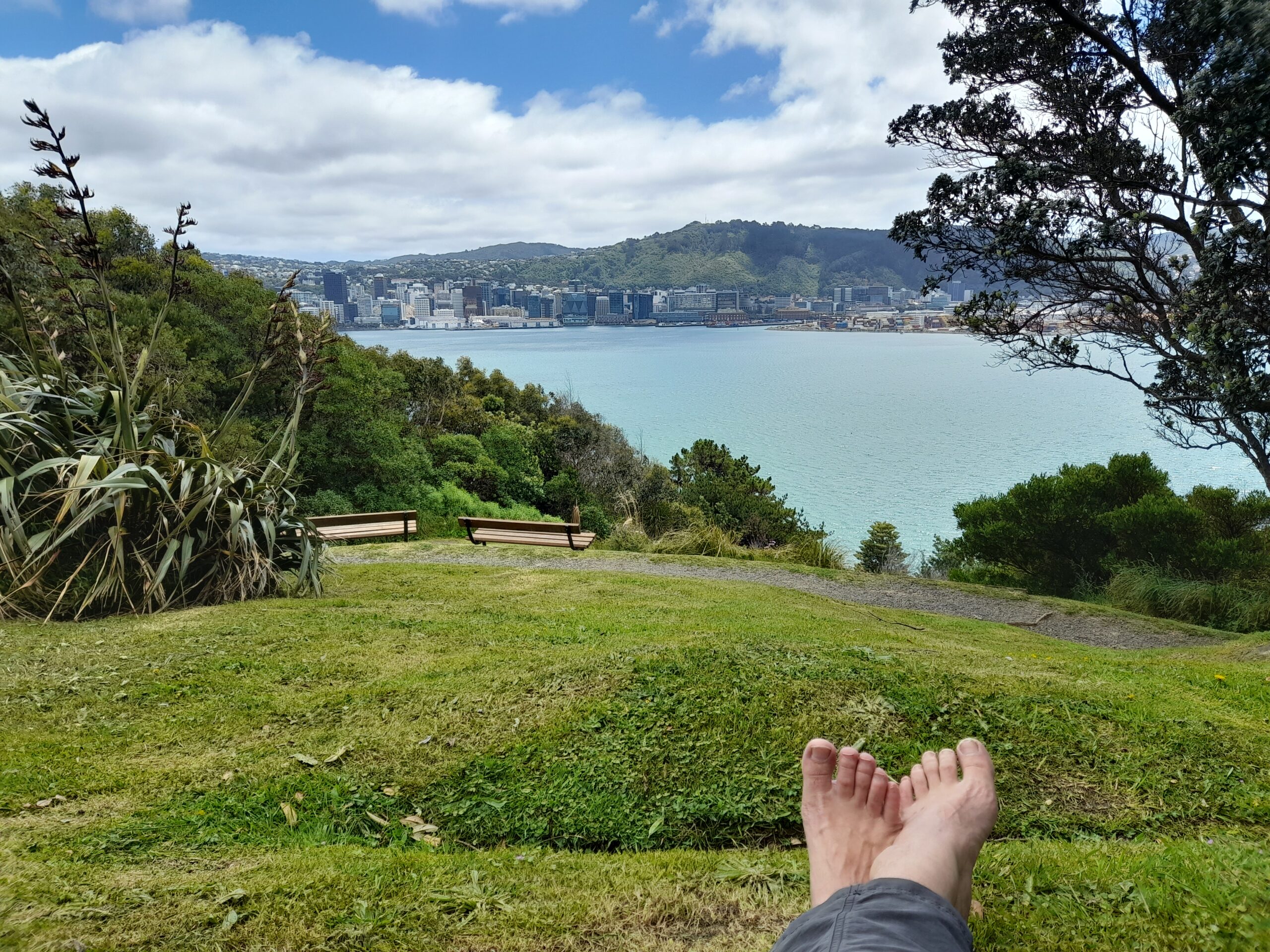 Wellington South – Day 50.