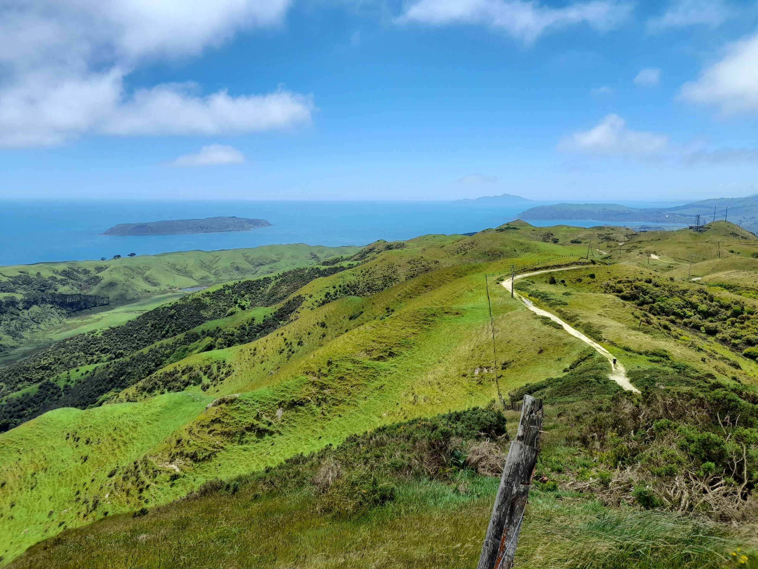 Back Roads, Porirua and Paremata – Day 52.