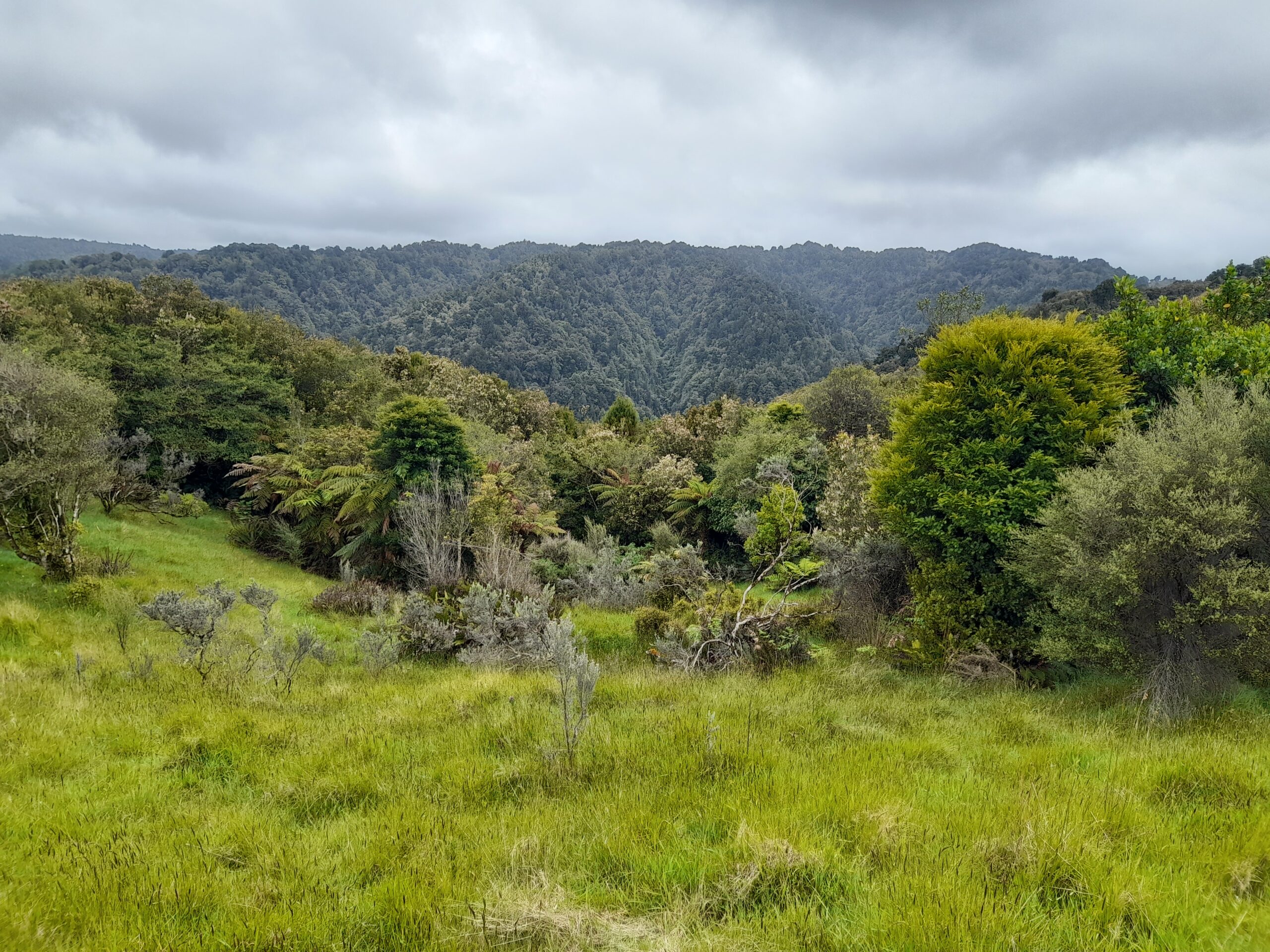 Parawai Lodge / Hut – Day 56.