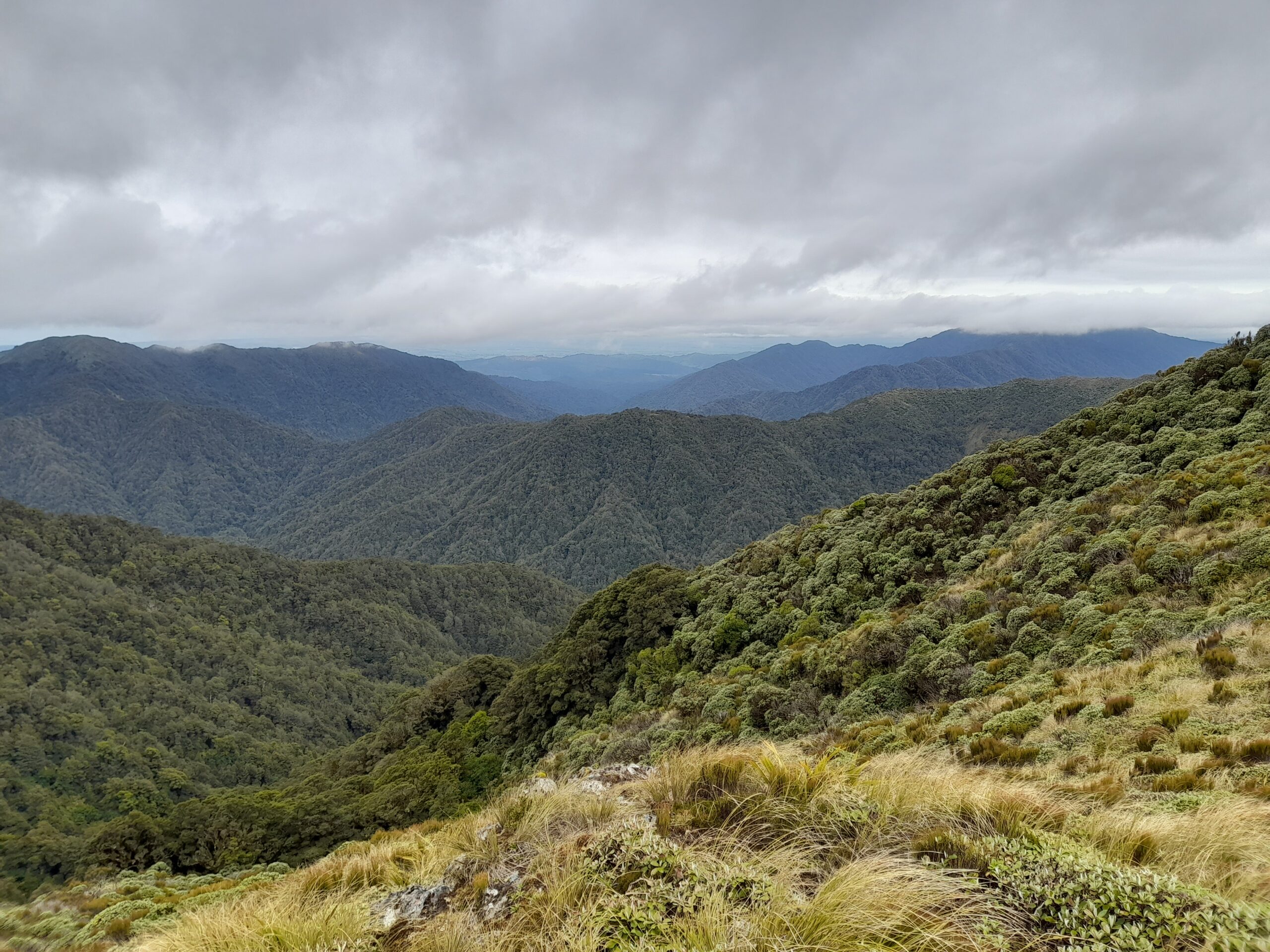 Pukematawai & Te Matawai Hut – Day 59.