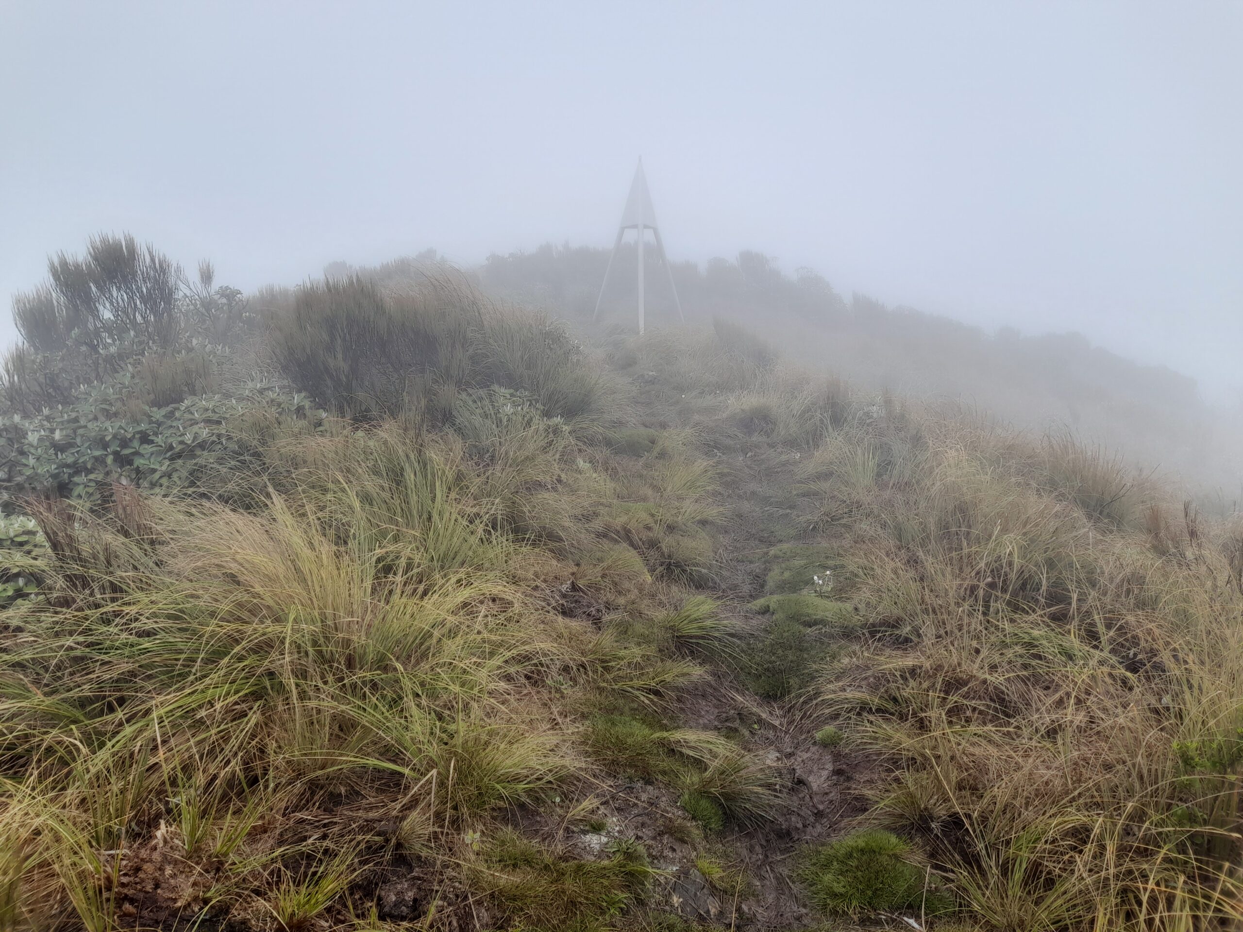 Waiopehu Hut – Day 60.