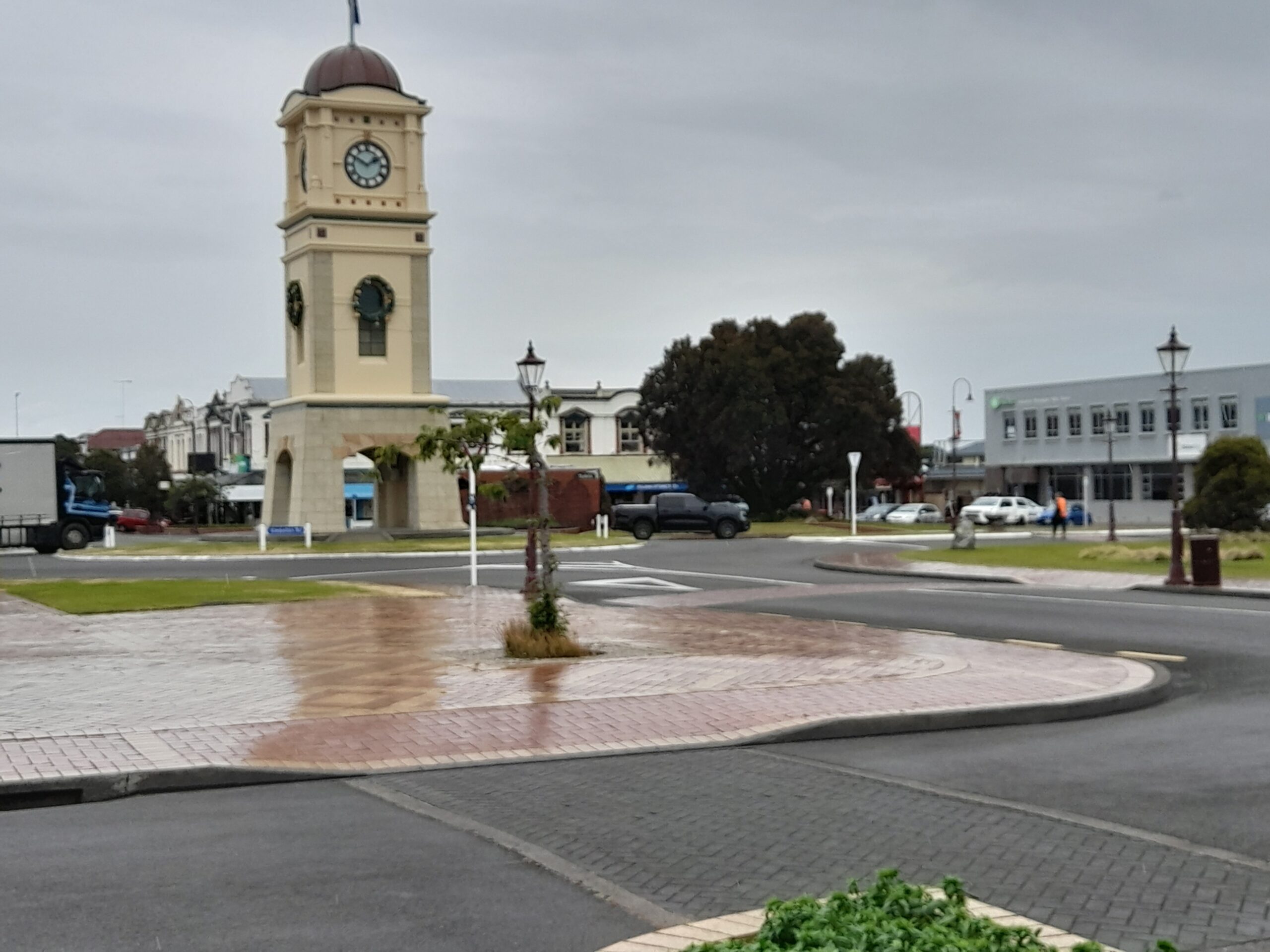 Cute (Friendly) Feilding – Day 68.