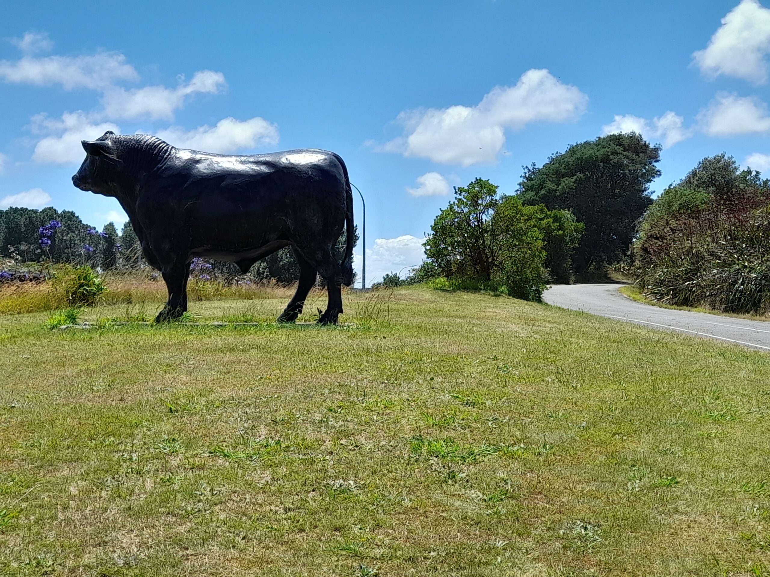 Road walking to Bulls – Day 69.